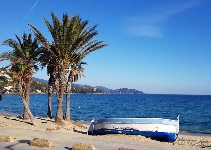 Avec Terrasse 2 Personnes * Le Lavandou