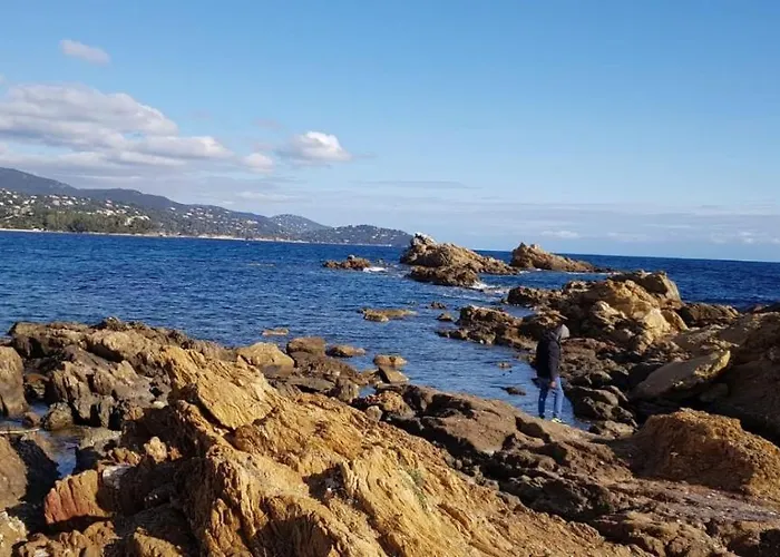Avec Terrasse 2 Personnes Le Lavandou
