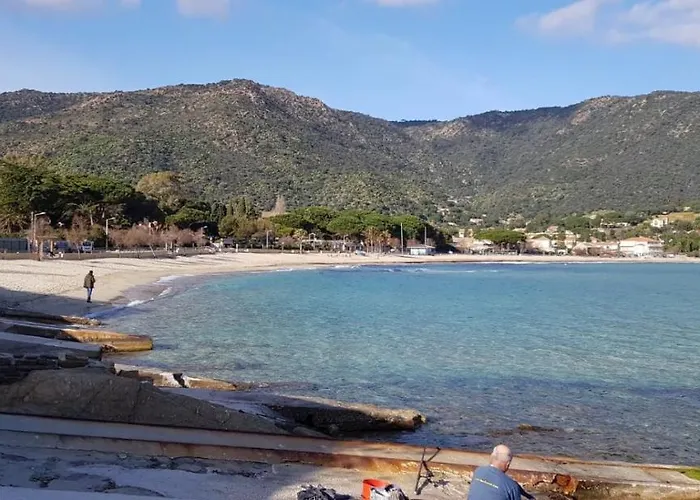 Avec Terrasse 2 Personnes Apartman Le Lavandou