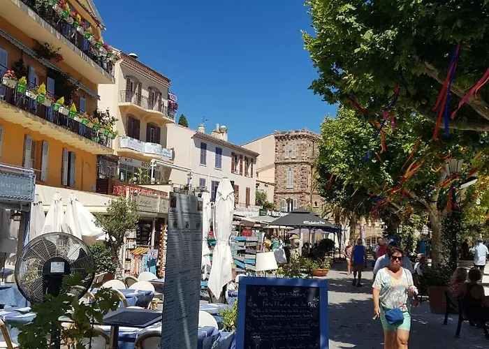Avec Terrasse 2 Personnes Lägenhet Le Lavandou